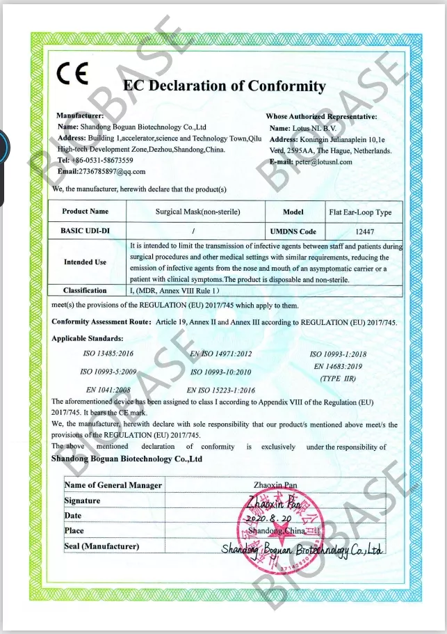 CE-surgical mask Certificate